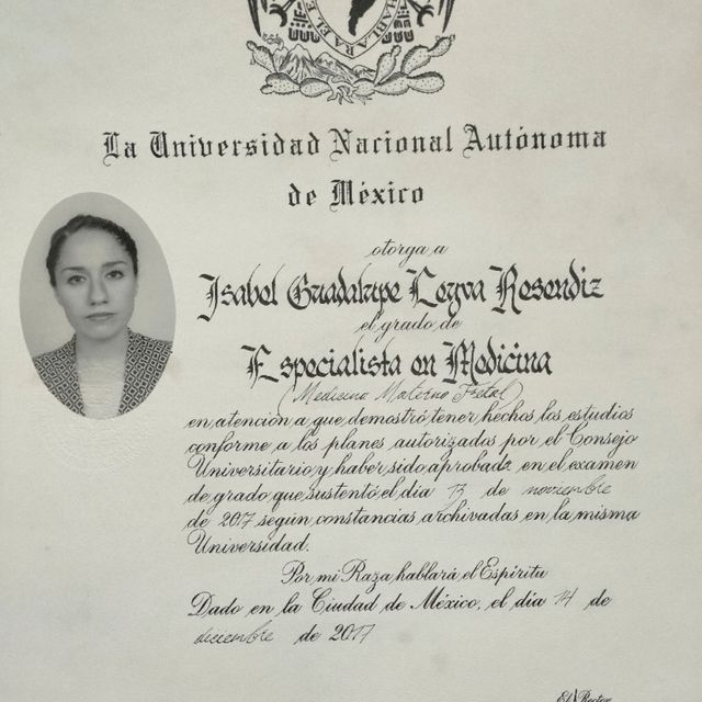 Ampliar imagen: certificate 3