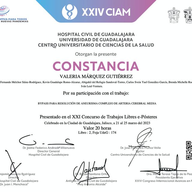 Ampliar imagen: certificate 13