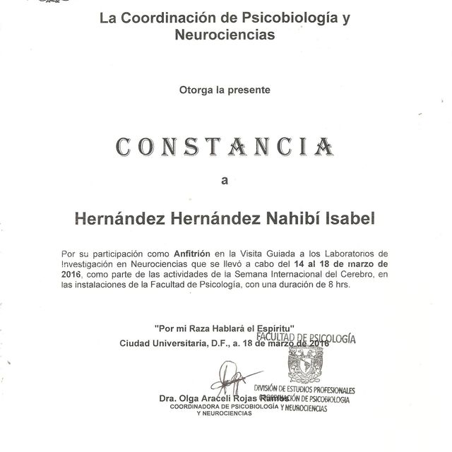 Ampliar imagen: certificate 10