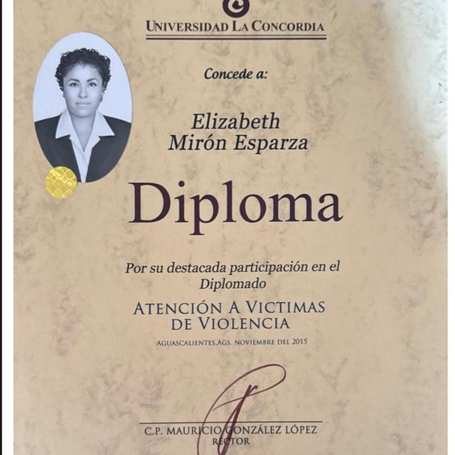 Ampliar imagen: certificate 3