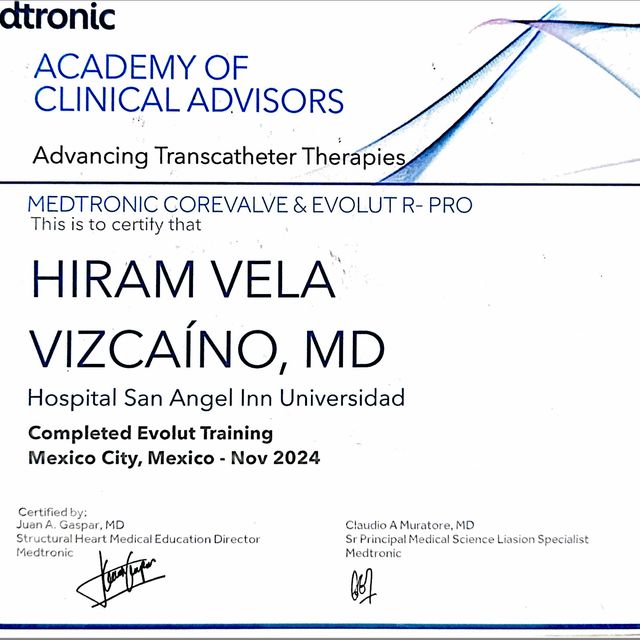 Ampliar imagen: certificate 11