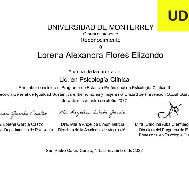 Ampliar imagen: certificate 2