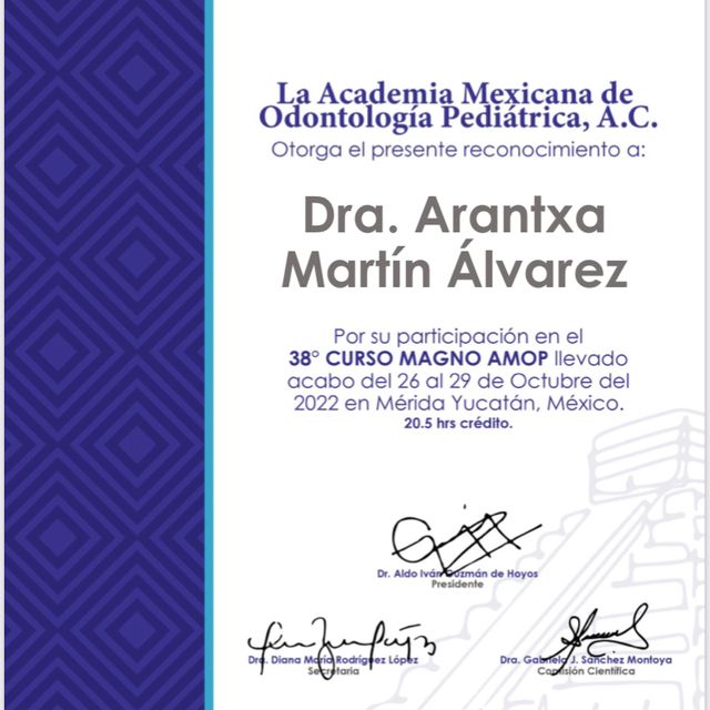 Ampliar imagen: certificate 2
