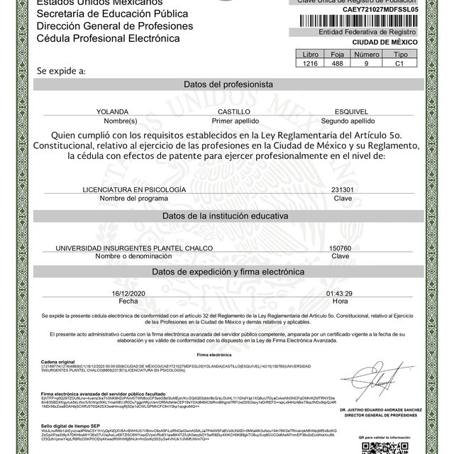 Ampliar imagen: certificate 1