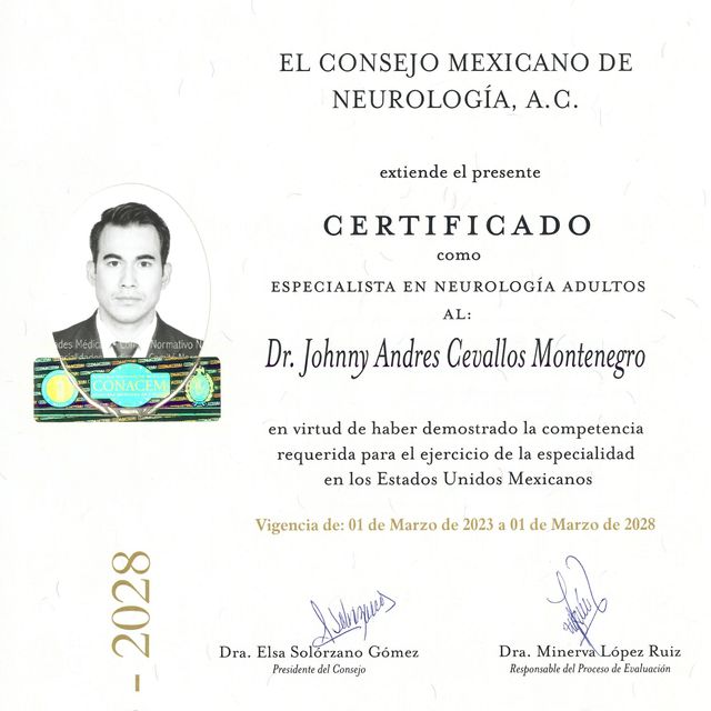 Ampliar imagen: certificate 3