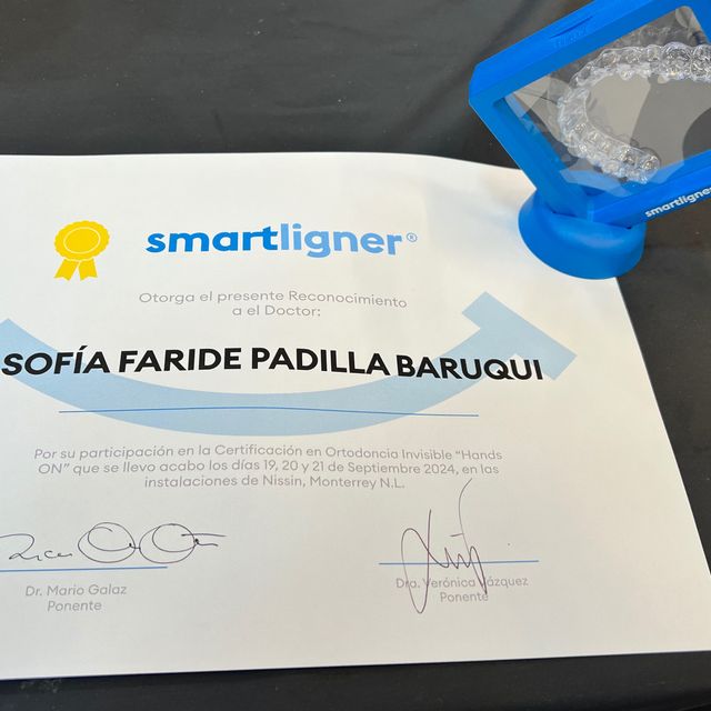 Ampliar imagen: certificate 6