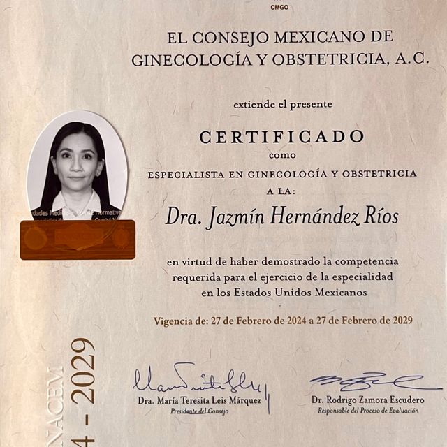 Ampliar imagen: certificate 3