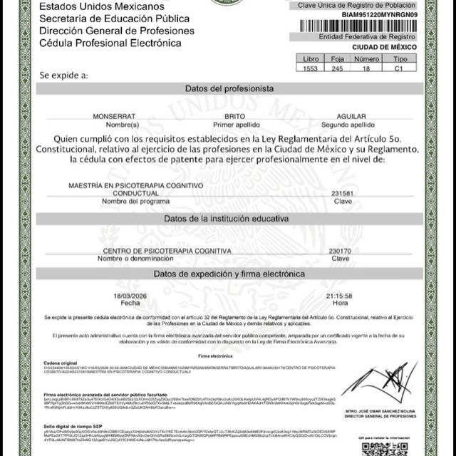 Ampliar imagen: certificate 9