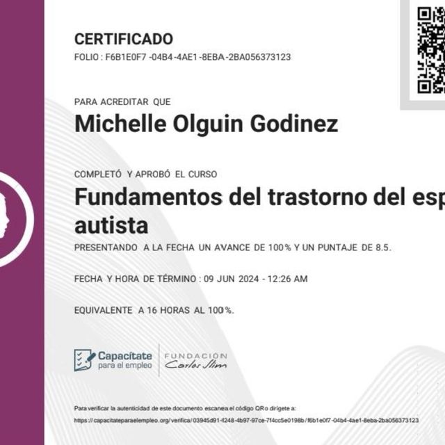 Ampliar imagen: certificate 19