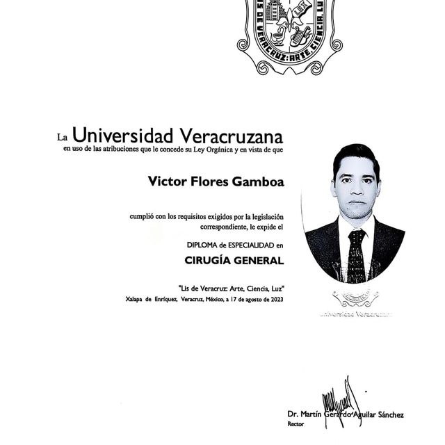 Ampliar imagen: certificate 2