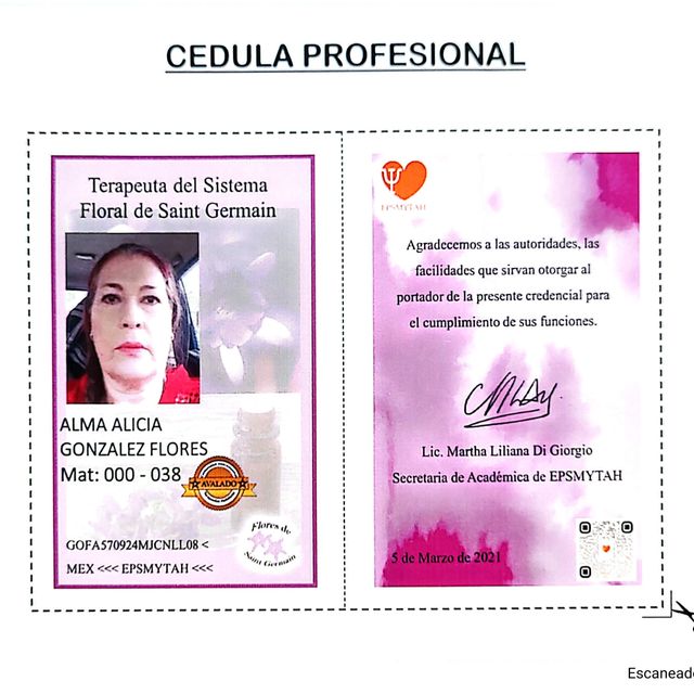 Ampliar imagen: certificate 4