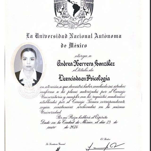 Ampliar imagen: certificate 3