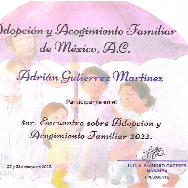 Ampliar imagen: certificate 8