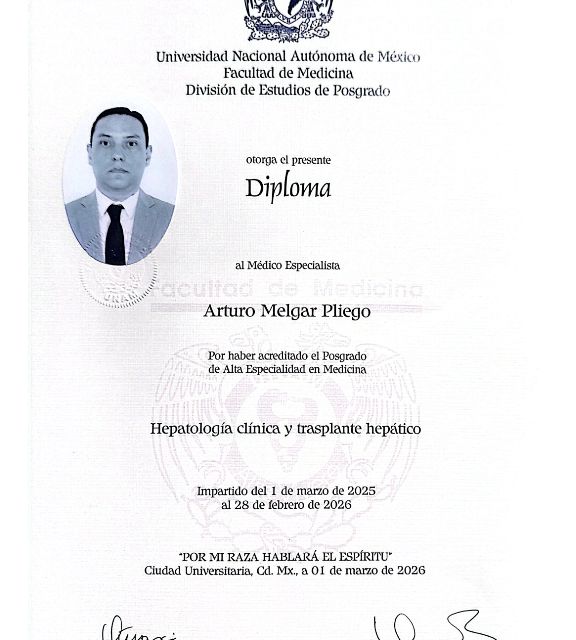 Ampliar imagen: certificate 5