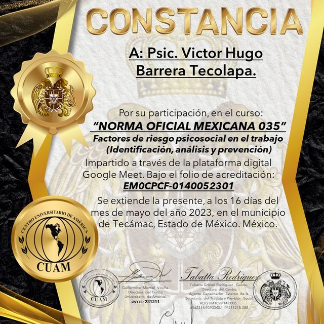 Ampliar imagen: certificate 62