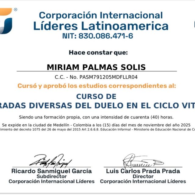 Ampliar imagen: certificate 5