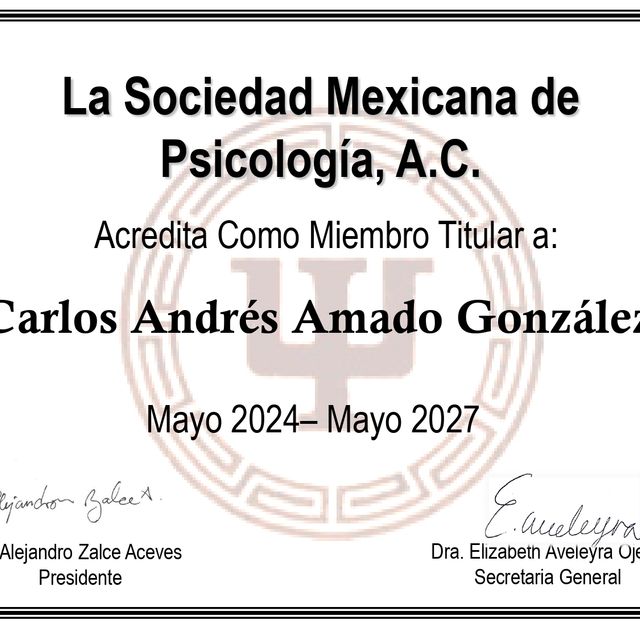 Ampliar imagen: certificate 1