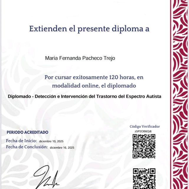 Ampliar imagen: certificate 2