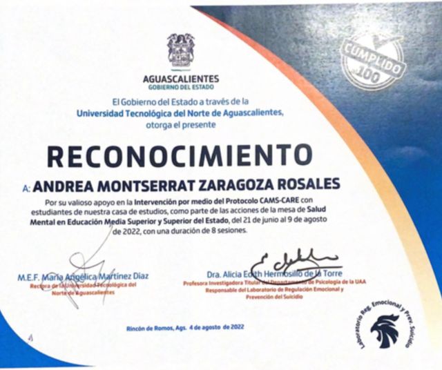 Ampliar imagen: certificate 7