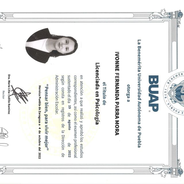 Ampliar imagen: certificate 2