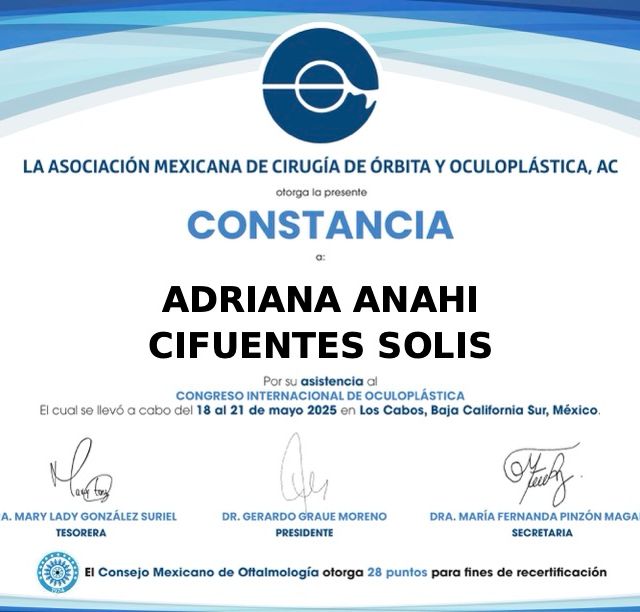 Ampliar imagen: certificate 4