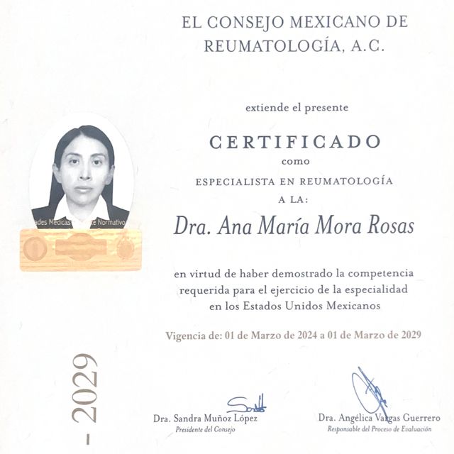 Ampliar imagen: certificate 2