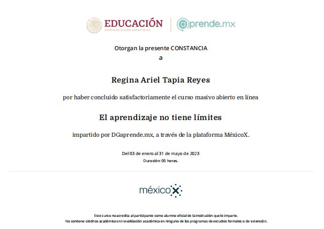 Ampliar imagen: certificate 7