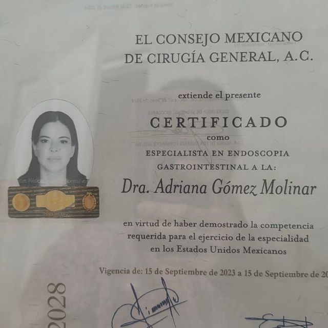 Ampliar imagen: certificate 2