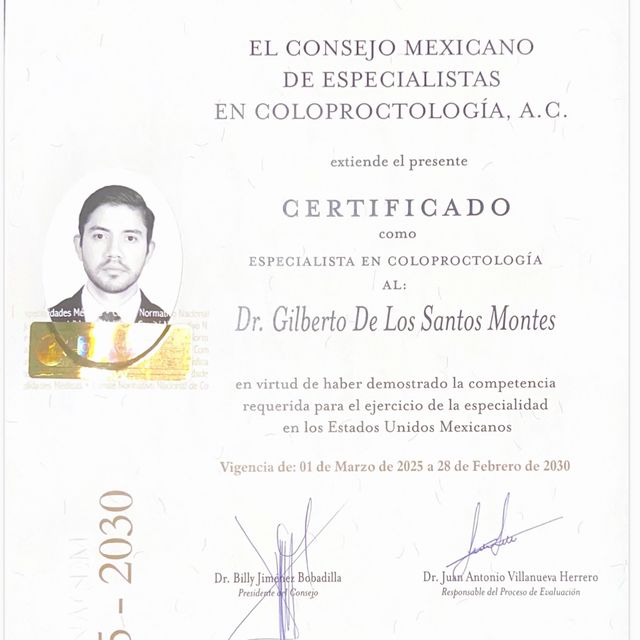 Ampliar imagen: certificate 2