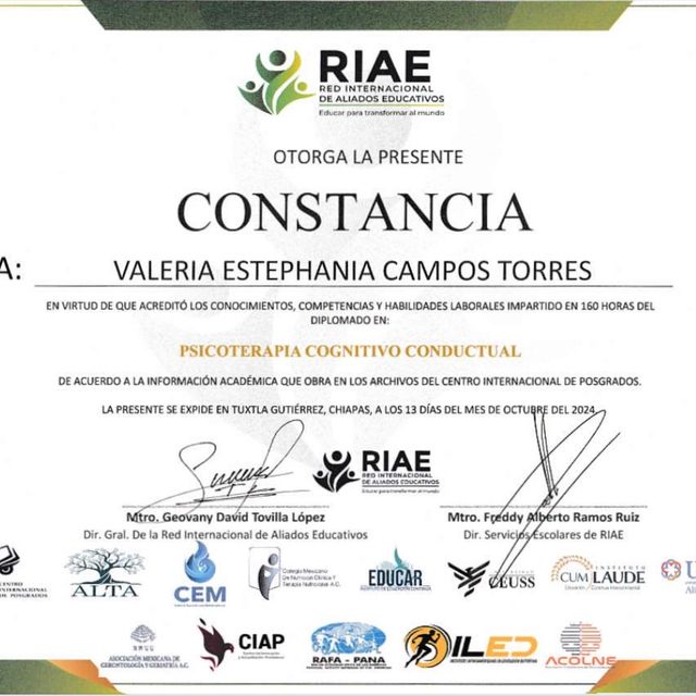 Ampliar imagen: certificate 2