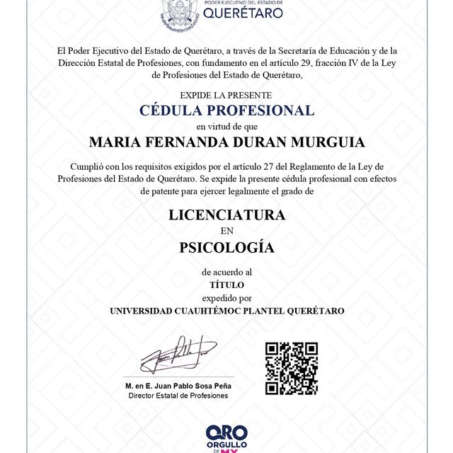 Ampliar imagen: certificate 10