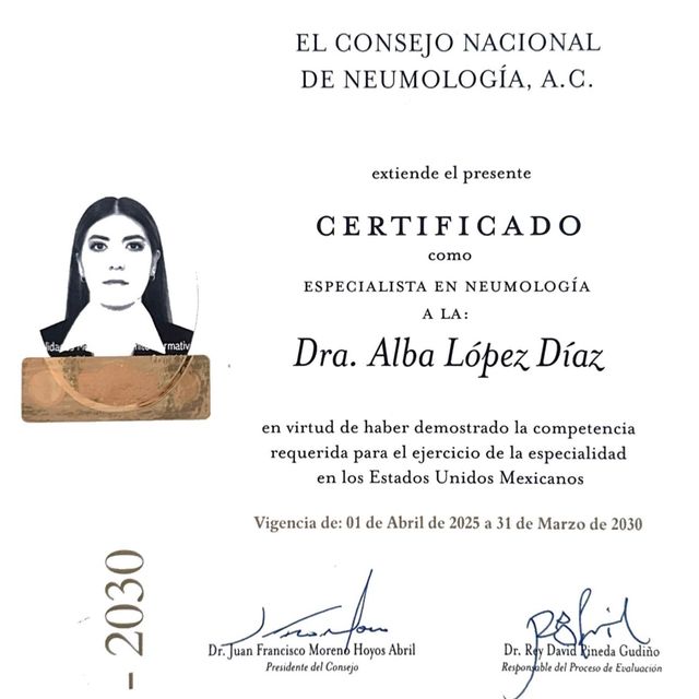 Ampliar imagen: certificate 2