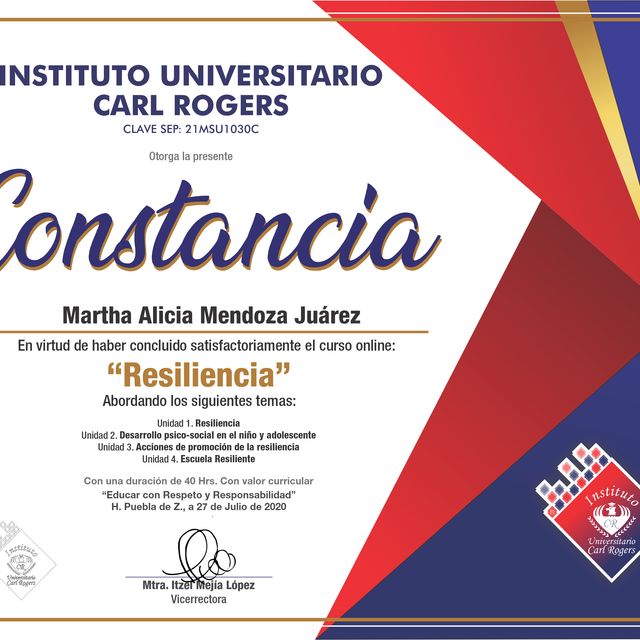 Ampliar imagen: certificate 6