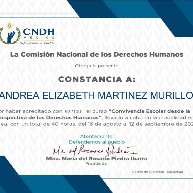 Ampliar imagen: certificate 4