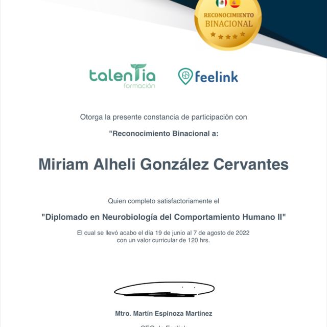 Ampliar imagen: certificate 20