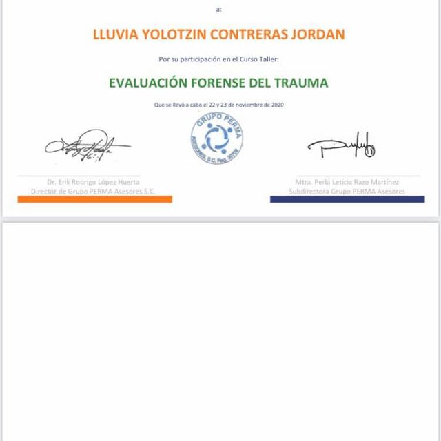 Ampliar imagen: certificate 3