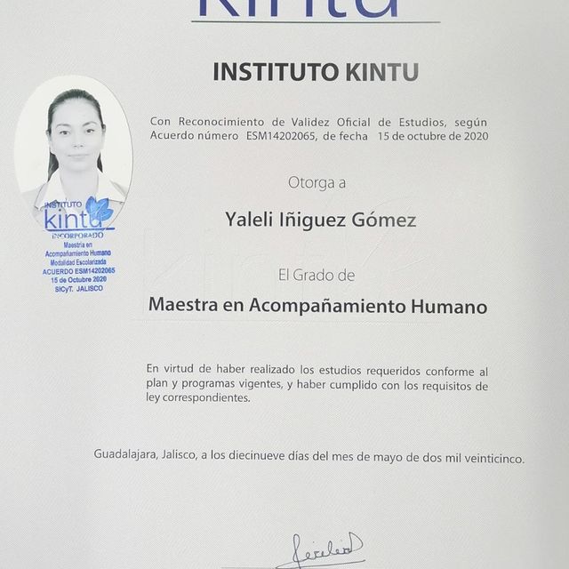 Ampliar imagen: certificate 2
