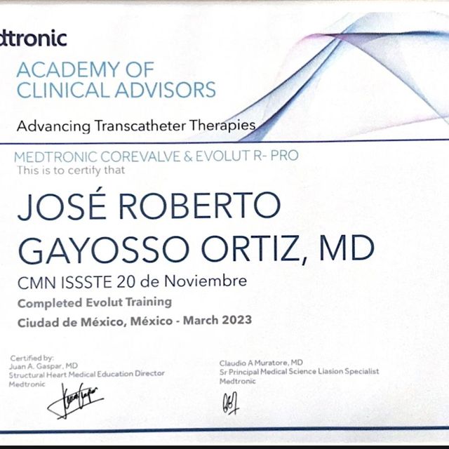 Ampliar imagen: certificate 10