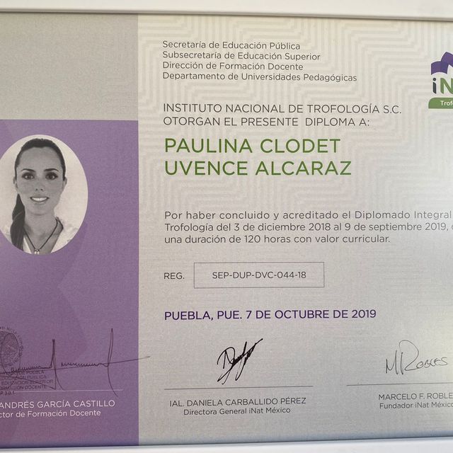 Ampliar imagen: certificate 1