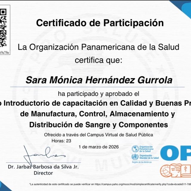 Ampliar imagen: certificate 13