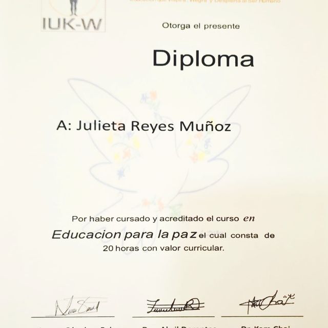 Ampliar imagen: certificate 3