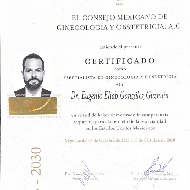 Ampliar imagen: certificate 5