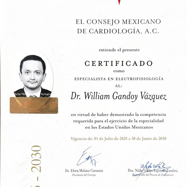 Ampliar imagen: certificate 5