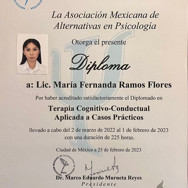 Ampliar imagen: certificate 2