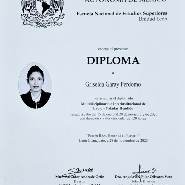 Ampliar imagen: certificate 3
