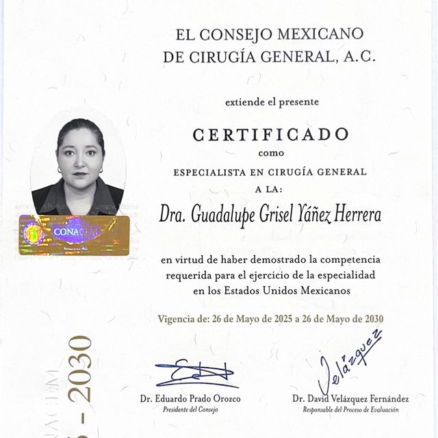 Ampliar imagen: certificate 2