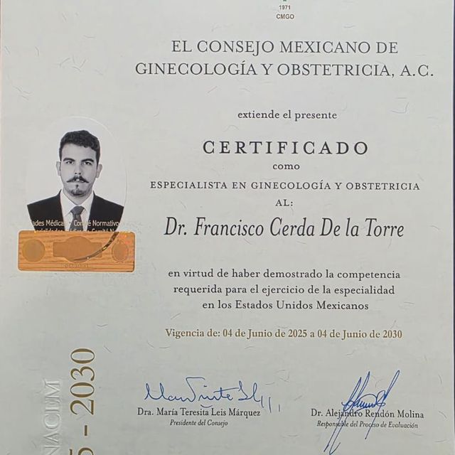 Ampliar imagen: certificate 1