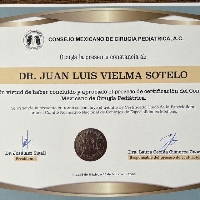 Ampliar imagen: certificate 2