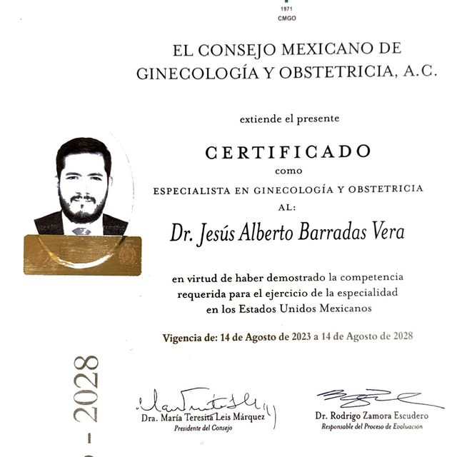 Ampliar imagen: certificate 1