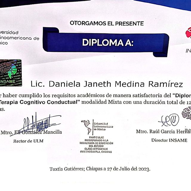 Ampliar imagen: certificate 3